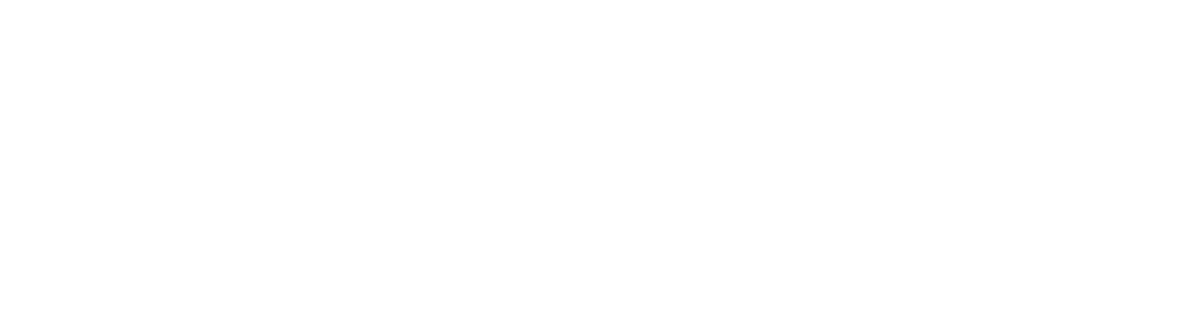 NVOX Foundation